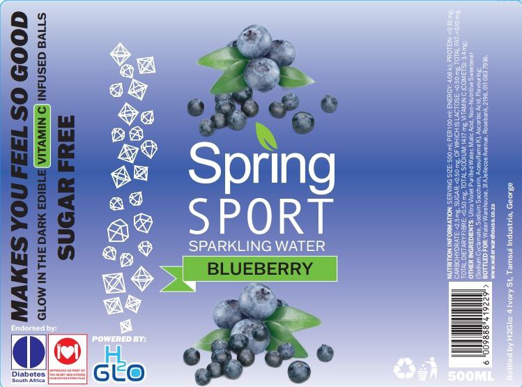 Blueberry Nutrition Label